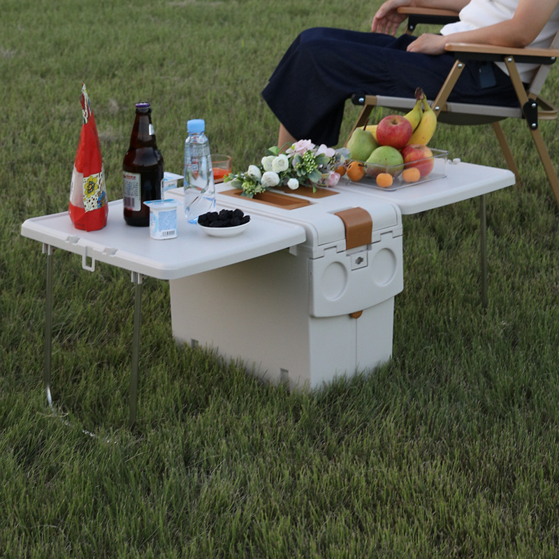 Mesa de Camping Plegable 2 en  - Food Storage Not Plastic reseña y precio