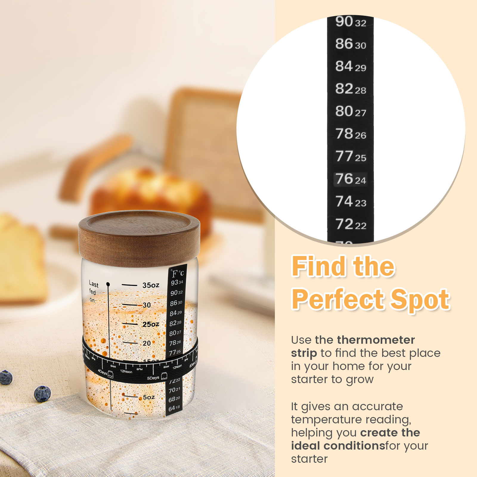 Kit de tarro de inicio de masa - Food Storage Containers Glass reseña y precio